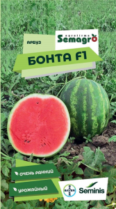 Семена арбуза SEMINIS БОНТА F1