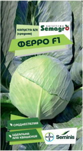 Семена капусты белокочанной SEMINIS ФЕРРО F1