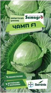 Семена капусты белокочанной SEMINIS ЧАМП F1