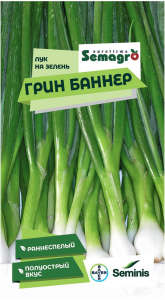 Семена лука на зелень SEMINIS ГРИН БАННЕР