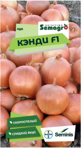 Семена лука репчатого SEMINIS КЭНДИ F1