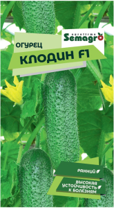 Семена огурца SEMINIS КЛОДИН F1