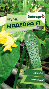 Семена огурца SEMINIS МАДЕЙРА F1