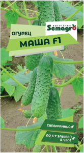 Семена огурца SEMINIS МАША F1