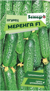 Семена огурца SEMINIS МЕРЕНГА F1