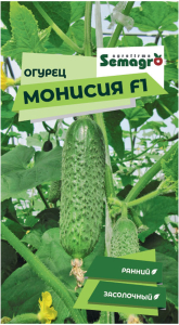 Семена огурца SEMINIS МОНИСИЯ F1