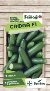 Семена огурца SEMINIS САФАА F1