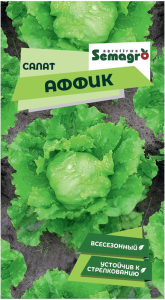 Семена салата SEMINIS АФФИК