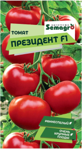 Семена томата SEMINIS ПРЕЗИДЕНТ F1