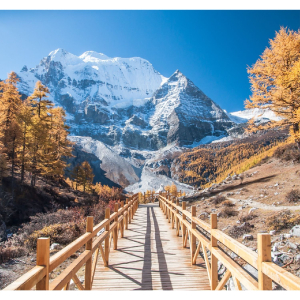 Фотообои Симфония Bellissimo Красочная осень 210х200 см