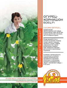 Семена ОГУРЕЦ КОРНИШОН БОЕЦ F1 10 ШТ ШТАЙНЕРТ