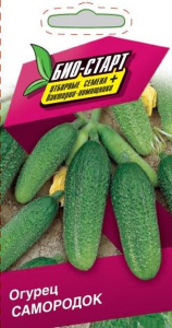 Семена ОГУРЕЦ САМОРОДОК БИО 0,25 ГР