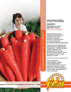 Семена МОРКОВЬ ДИВО ДИВНОЕ 2 ГР ШТАЙНЕРТ