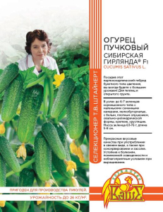 Семена ОГУРЕЦ СИБИРСКАЯ ГИРЛЯНДА 5 ШТ ШТАЙНЕРТ