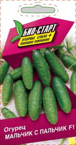 Семена ОГУРЕЦ МАЛЬЧИК С ПАЛЬЧ БИО 0,25 ГР