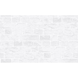 Обои Erismann 60380-02 виниловые 1,06х10,05 м, белый